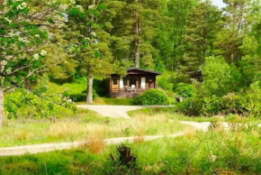 Solstice Cabin